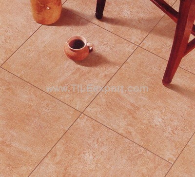 Floor_Tile--Porcelain_Tile,600X600mm[SS],66015_view